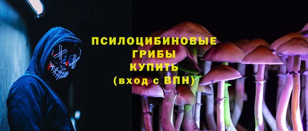 ГАЛЛЮЦИНОГЕННЫЕ ГРИБЫ Нефтекумск