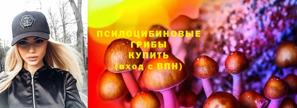ГАЛЛЮЦИНОГЕННЫЕ ГРИБЫ Нефтекумск