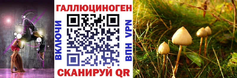 Галлюциногенные грибы GOLDEN TEACHER  Купить где  Ртищево 